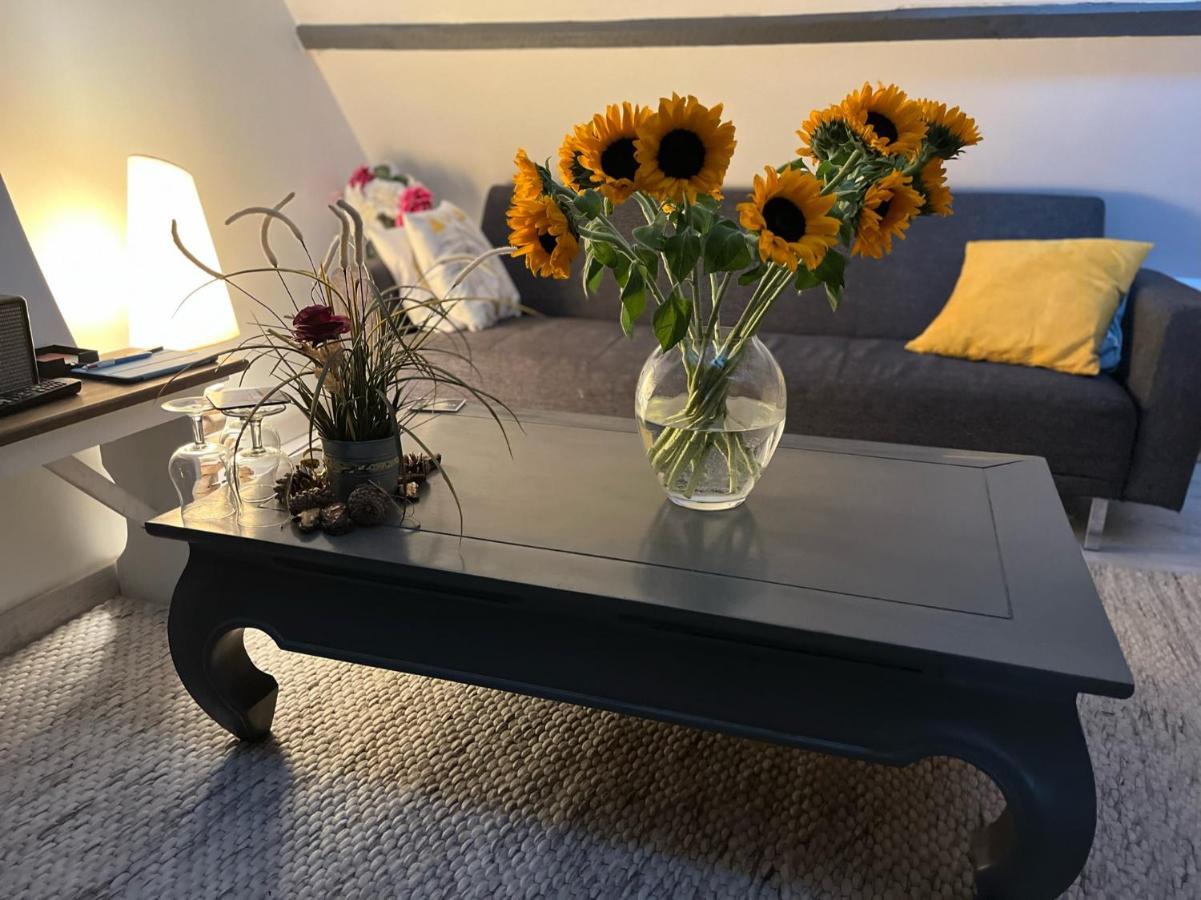 Samer Maison 4 Personnes Tout Confort Alentours Boulogne Sur Mer מראה חיצוני תמונה